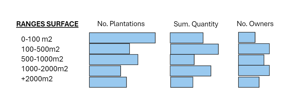 Create a dimnesion based on a field to categorize ... - Microsoft ...