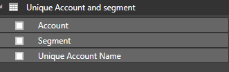 unique account and segment.PNG