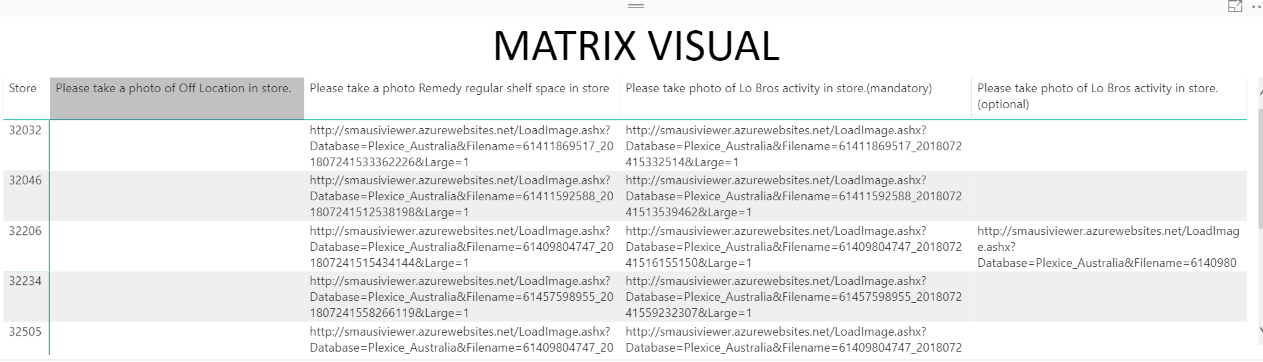 Display photos in Matrix - Microsoft Fabric Community