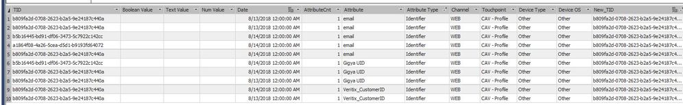 AASCavsCustomerAttributesWith10IdenfifiersResultSet.JPG