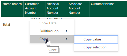 Copy in Power BI.png