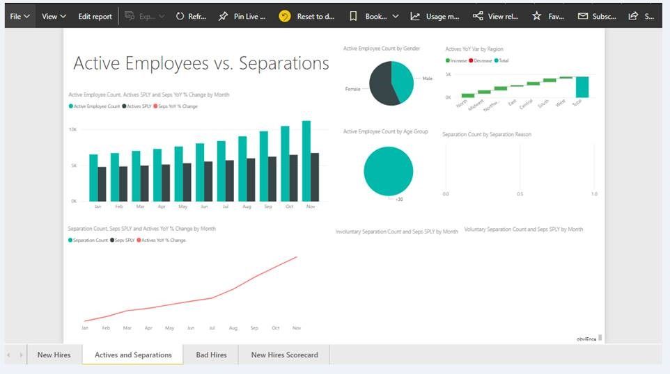 Report In Power bi.jpg