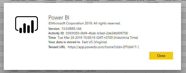 PowerBI Version