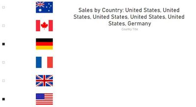 Sales by Country USA.JPG