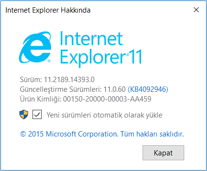 iexplorer version.PNG