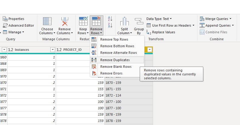 Remove Duplicate Invoice - Project rows