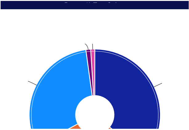 Incorrect display Donut Chart.png