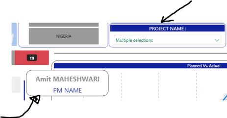 Project Name list Vs Project Manager Name.PNG
