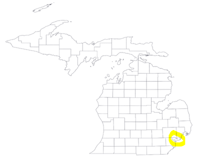 state of michigan county map with cities