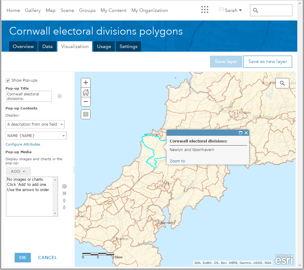 ArcGIS Maps - reference layer pop-up - Microsoft Fabric Community