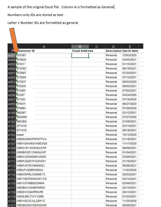 A Sample of the Original Excel File