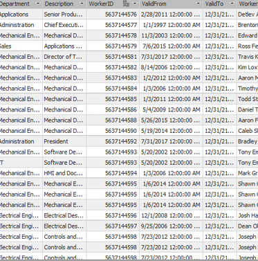 ValidFrom and ValidTo display when a worker was active within a specific department. I forgot to include personnel number but it is there.