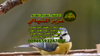 Screenshot 2022-08-25 23-28-11.png
