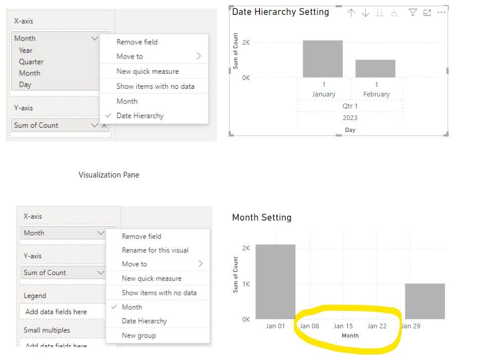 visualization issue with "Month" setting in Visual... - Microsoft ...