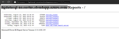 Report Server_Screenshot 2023-09-13 155136.png